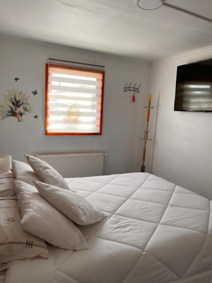 Hostal B&B Coastal Natales 푸에르토나탈레스 외부 사진